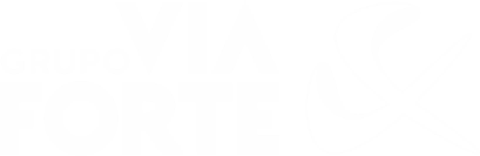 Grupo Via Forte