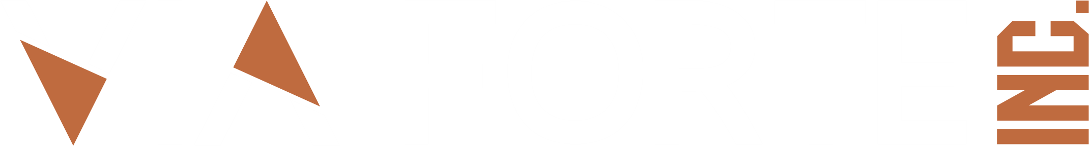 Via Forte Inc.